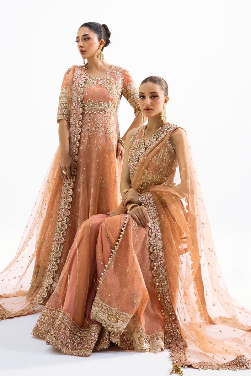 Sana Safinaz 3 Piece Custom Stitched Suit - Pink - LB25977