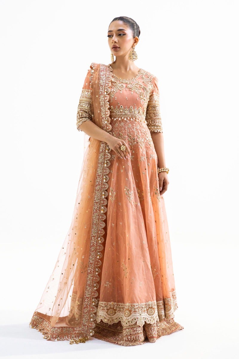 Sana Safinaz 3 Piece Custom Stitched Suit - Pink - LB25977